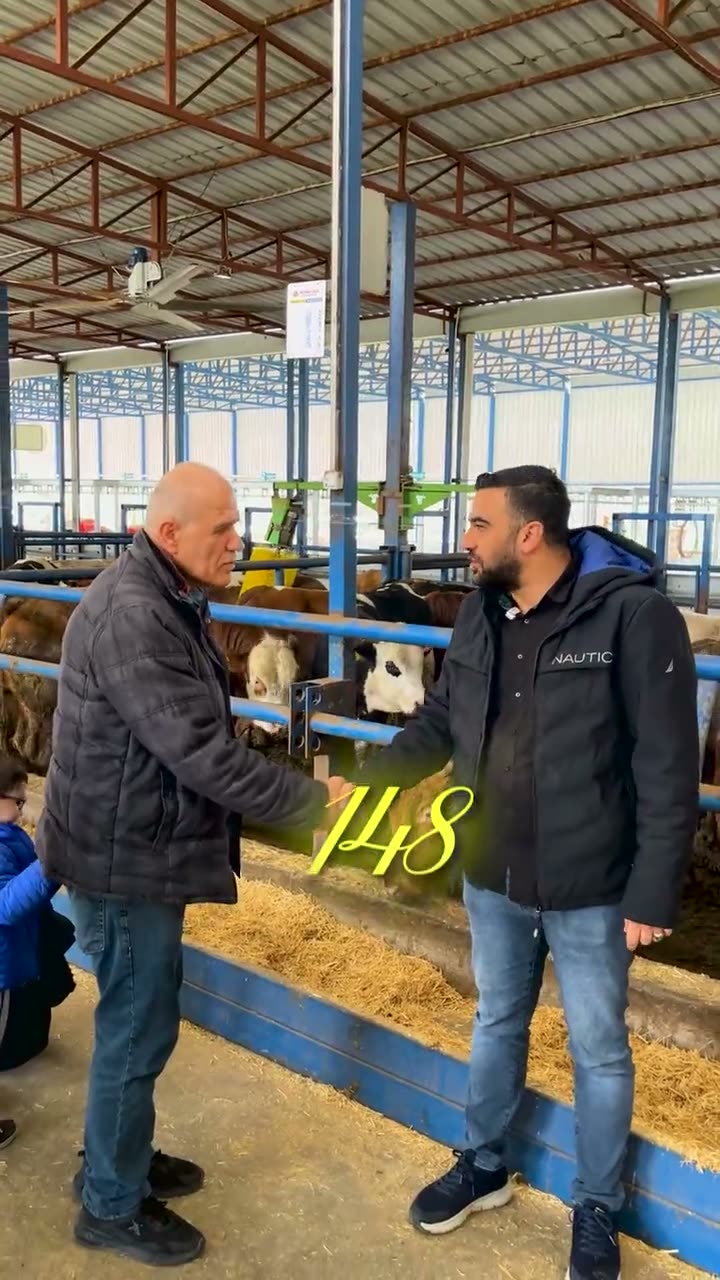Saha çekimi — pazarlık anı, rakam grafikleri ve altyazı